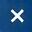 X Icon